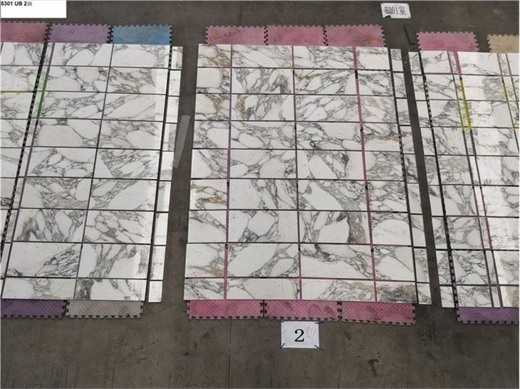 Calacatta Gold Marble Tile (6)