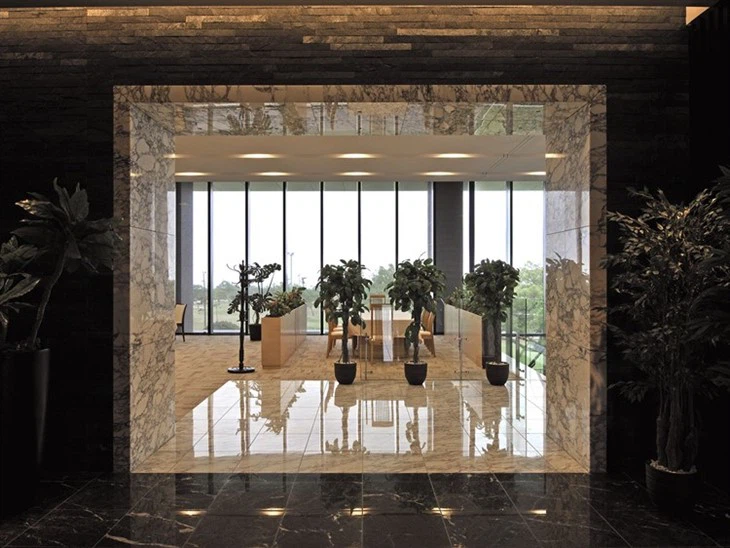 Italian Arabescato Marble