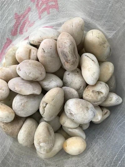 Toplu Beyaz Çakıl Taşları